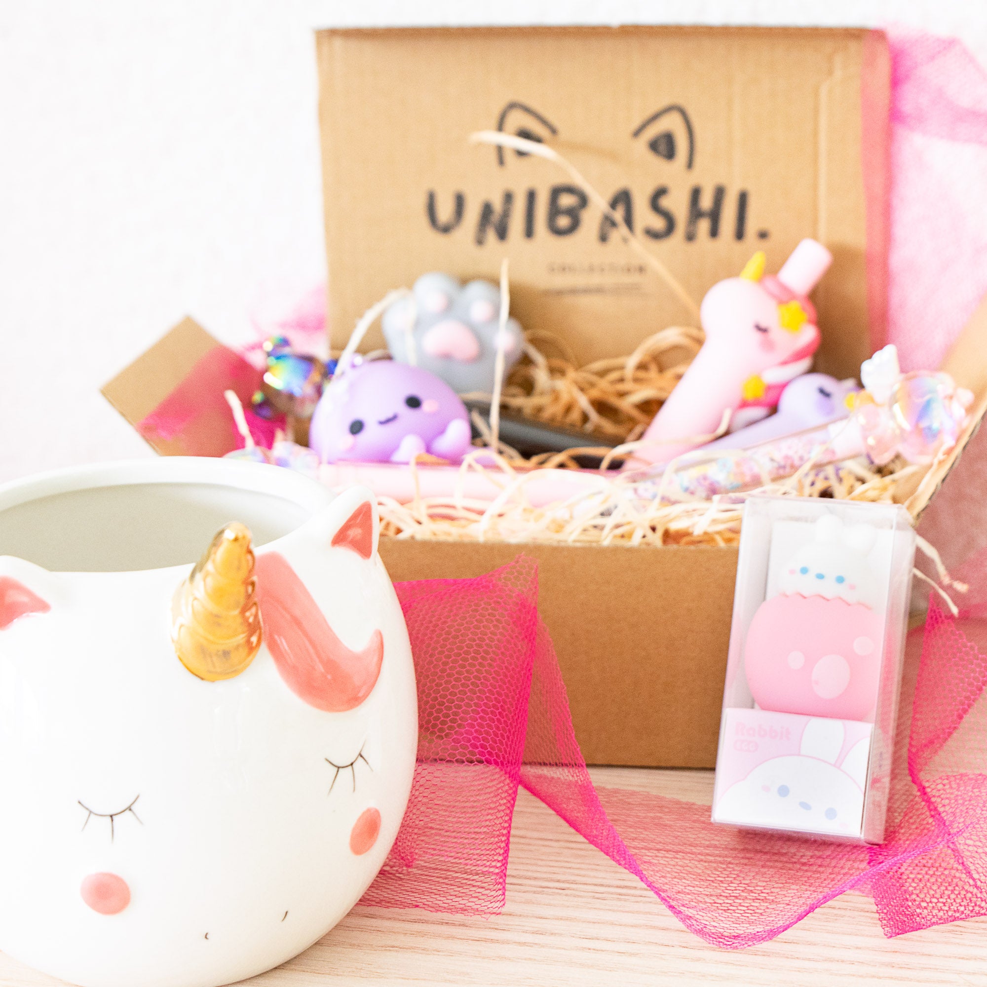 UNIBASHI